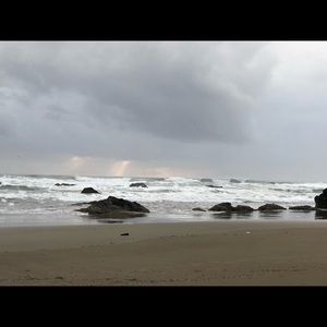 Meet your Posher, Robin